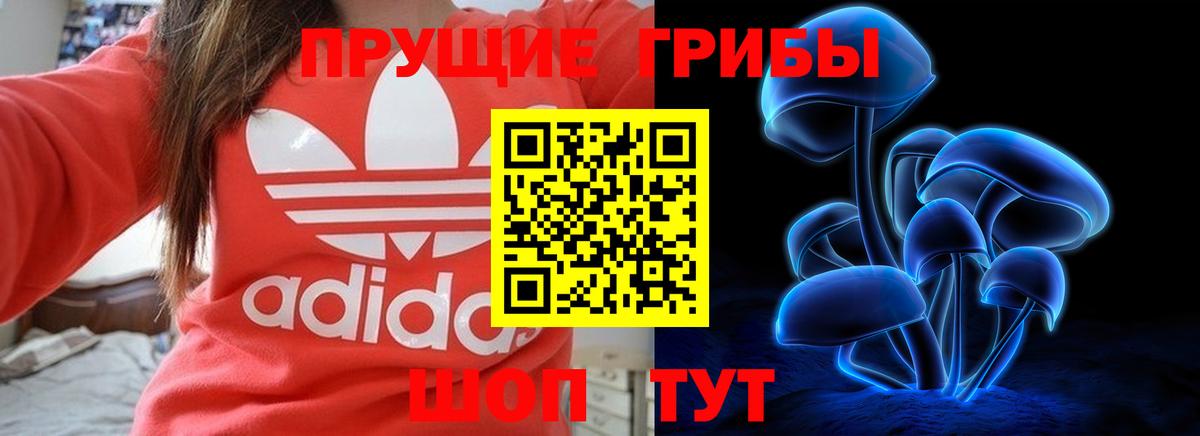 Галлюциногенные грибы MAGIC MUSHROOMS  Вход с VPN  Жигулёвск 